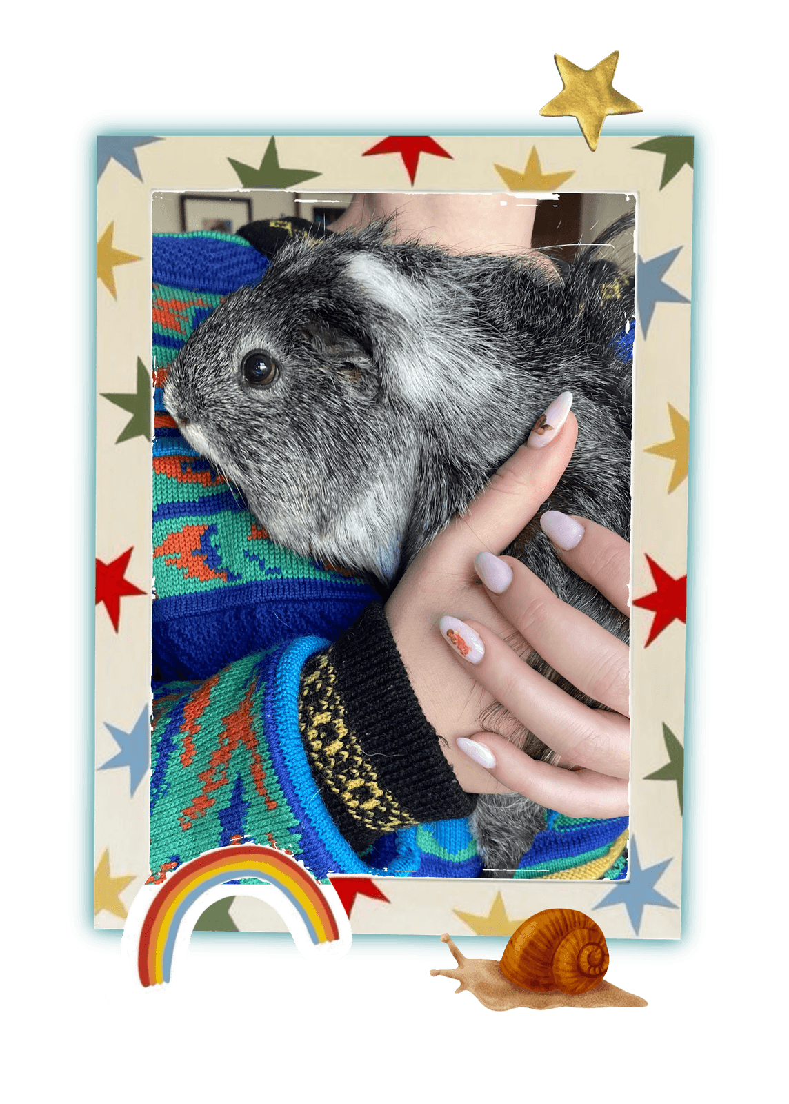 Framed photo of a Rebel Tails rescue guinea pig